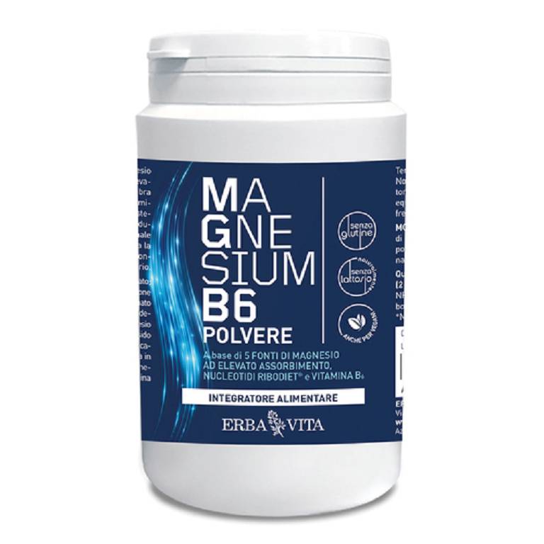 MAGNESIUM B6 POLV 200G